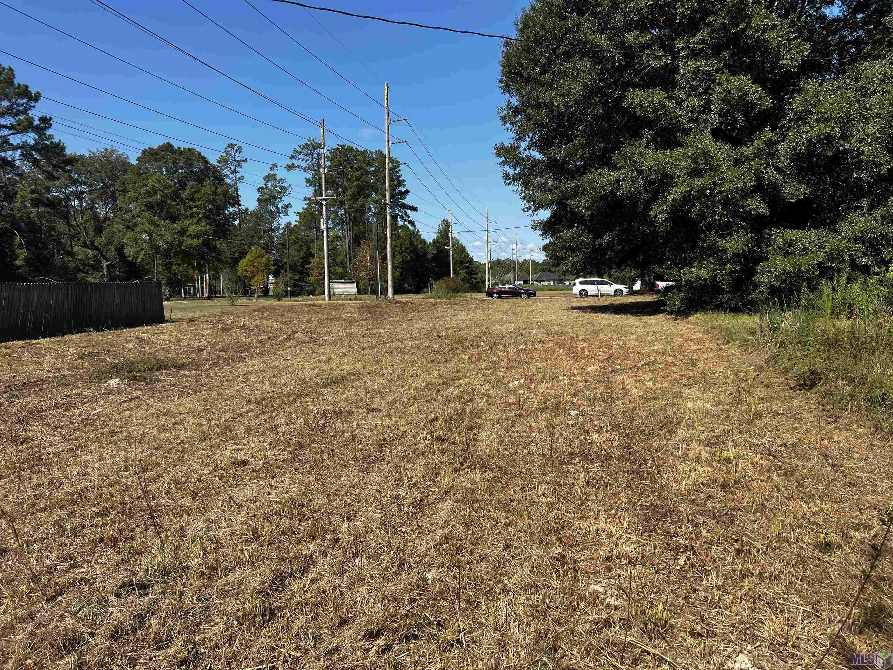Tbd Norris Bendily Road Denham Springs, LA 70726 - Photo 1 of 2 Gallery Image 1