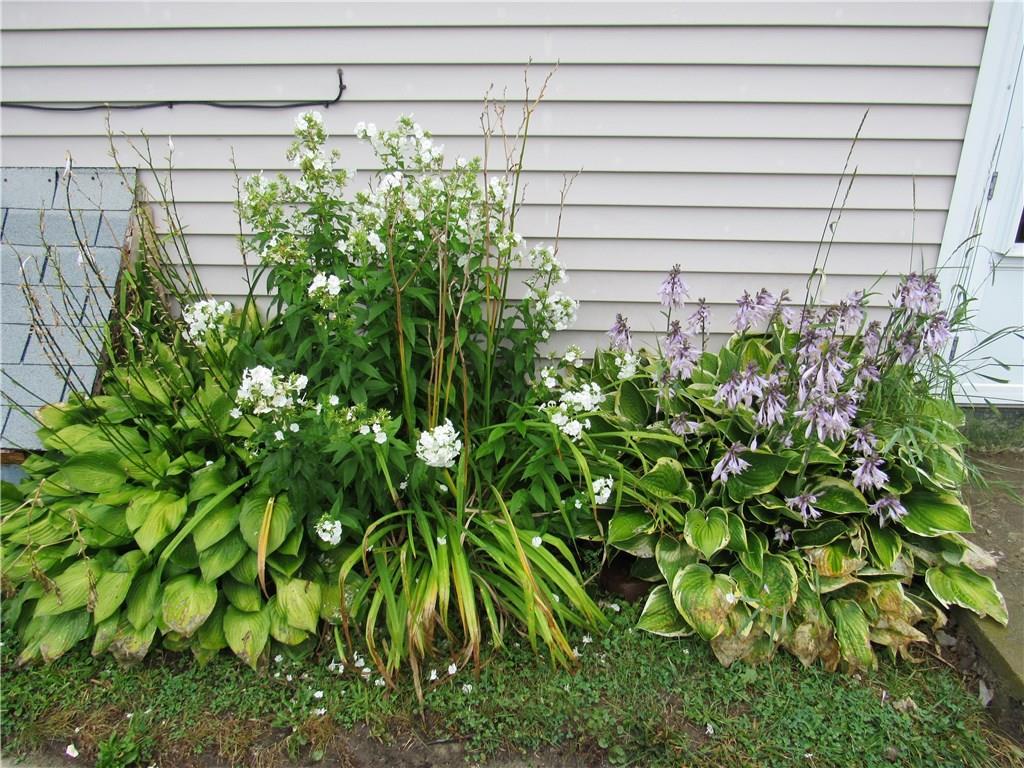 138 Thornton Road Bangor, ME 04401 - Photo 3 of 24 Photo