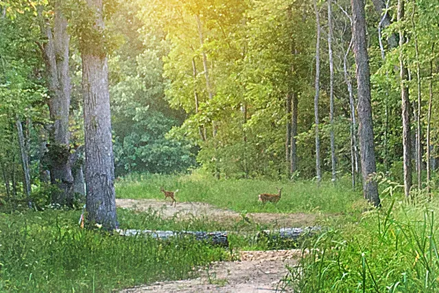 $129,000 | 3865 166th Lane, Lowell, IN 46356