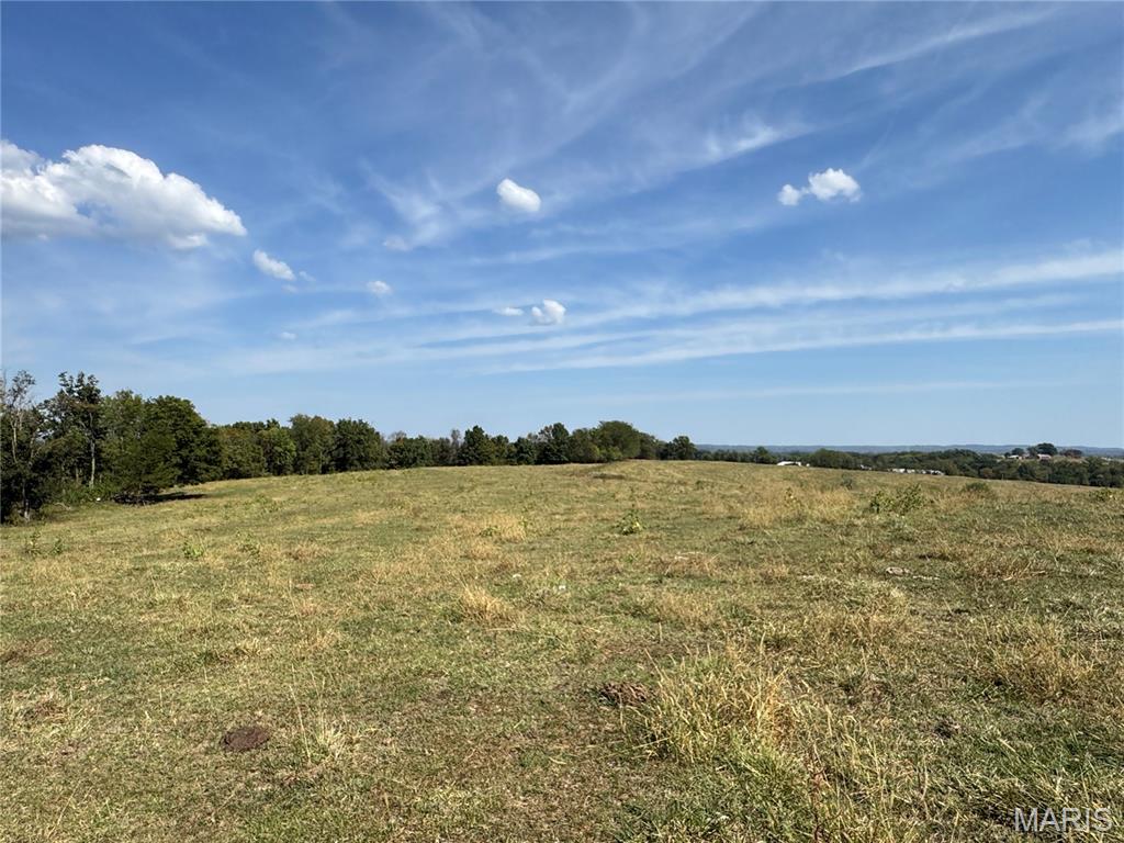 399 Brinker Trail Washington, MO 63090 - Photo 16 of 45