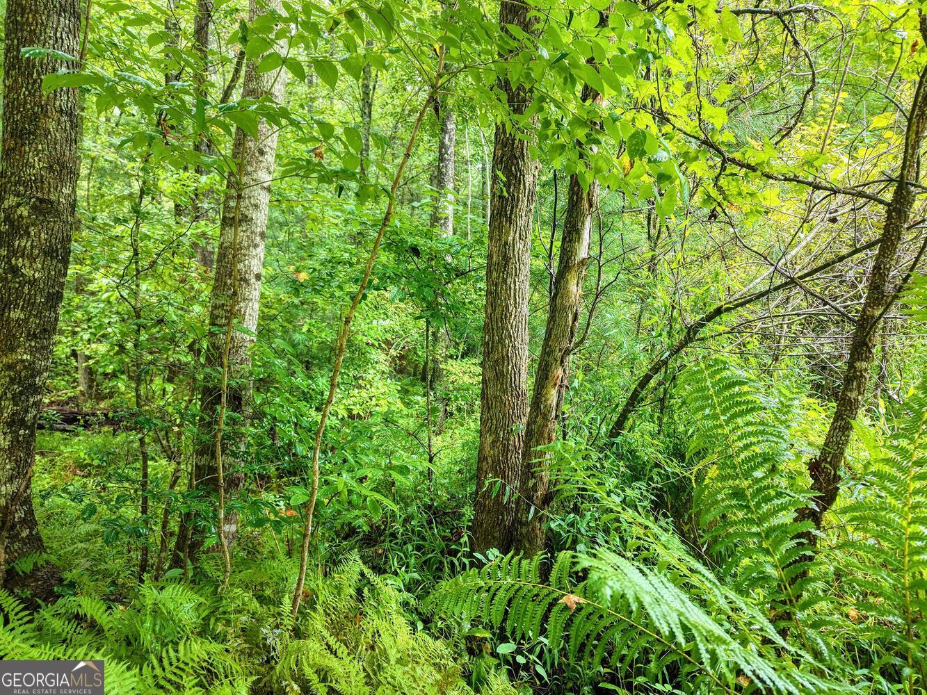 580 Emmaus Road Epworth, GA 30541 - Photo 11 of 22