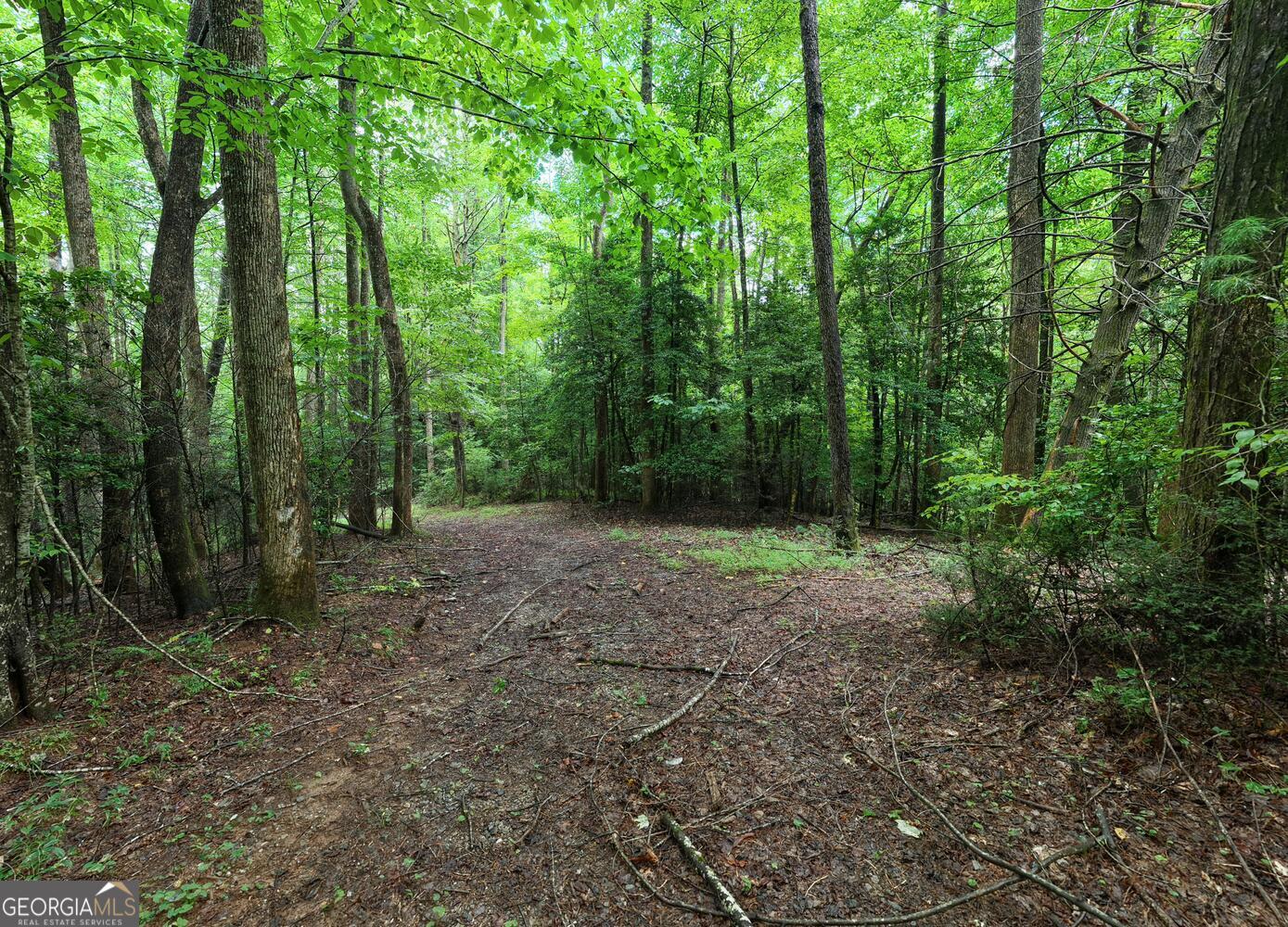 580 Emmaus Road Epworth, GA 30541 - Photo 15 of 22