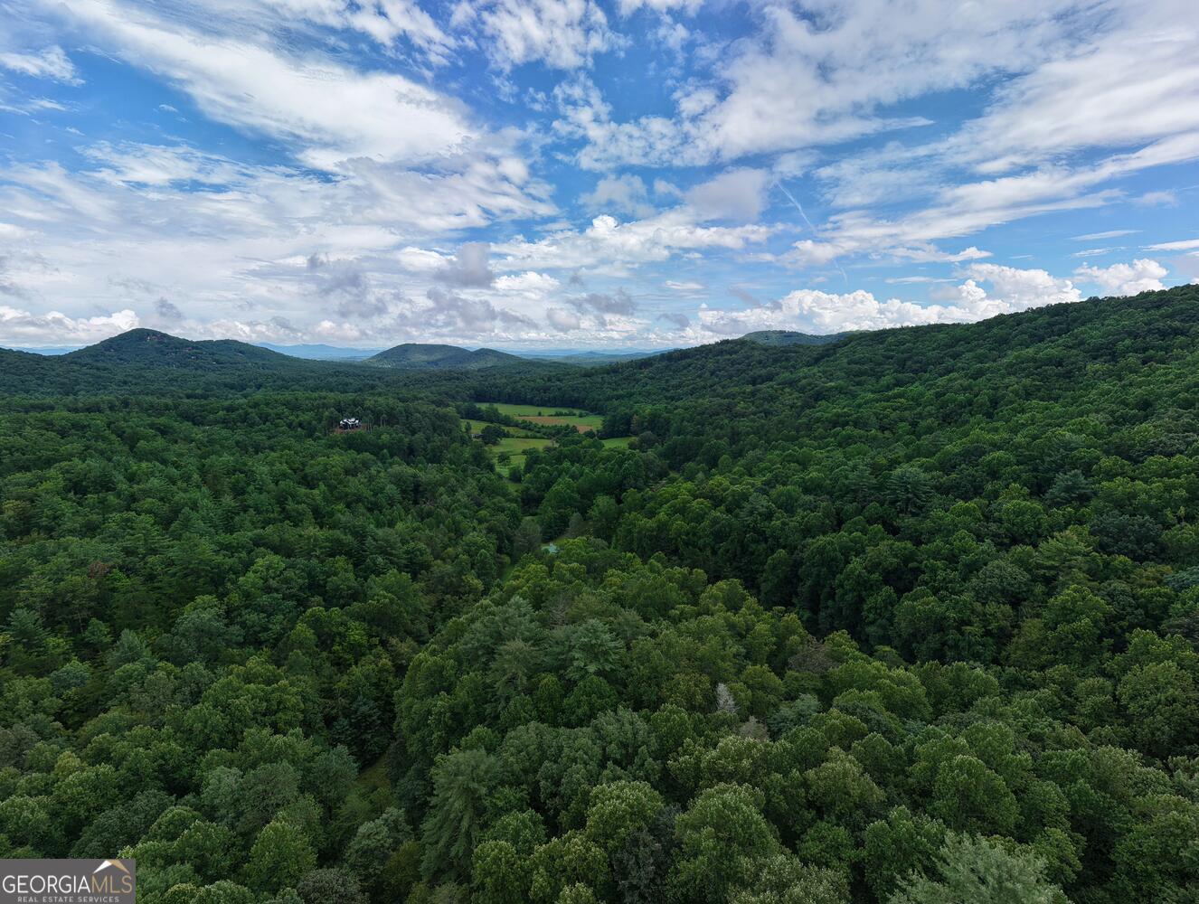 580 Emmaus Road Epworth, GA 30541 - Photo 16 of 22