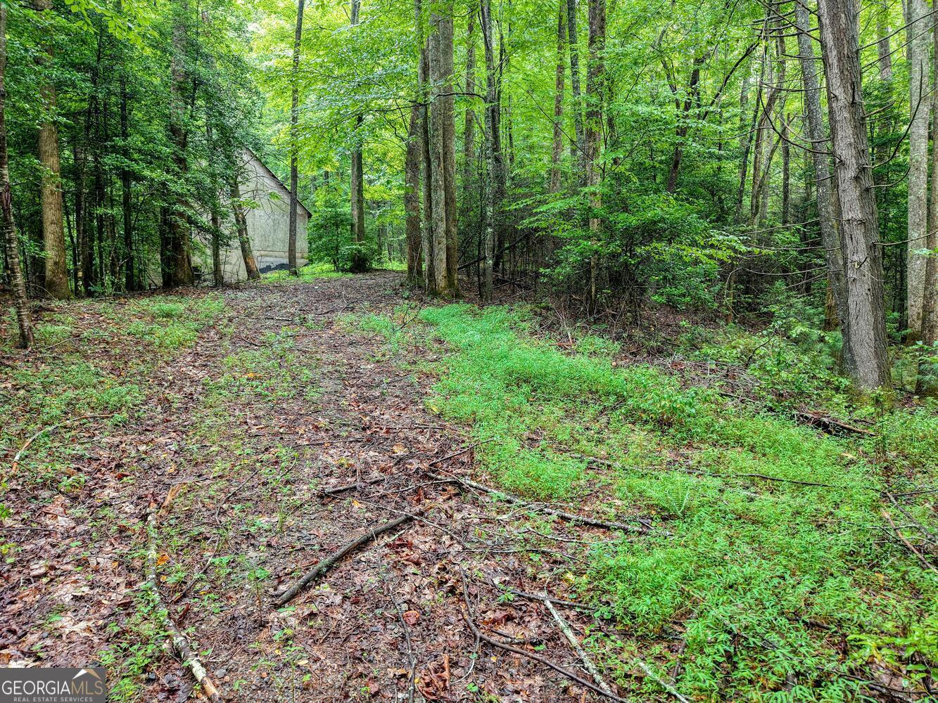 580 Emmaus Road Epworth, GA 30541 - Photo 17 of 22