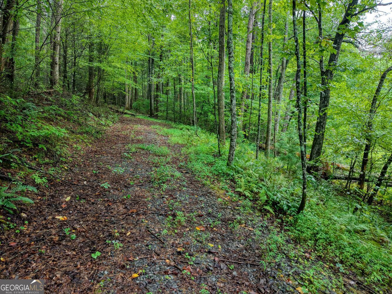 580 Emmaus Road Epworth, GA 30541 - Photo 18 of 22