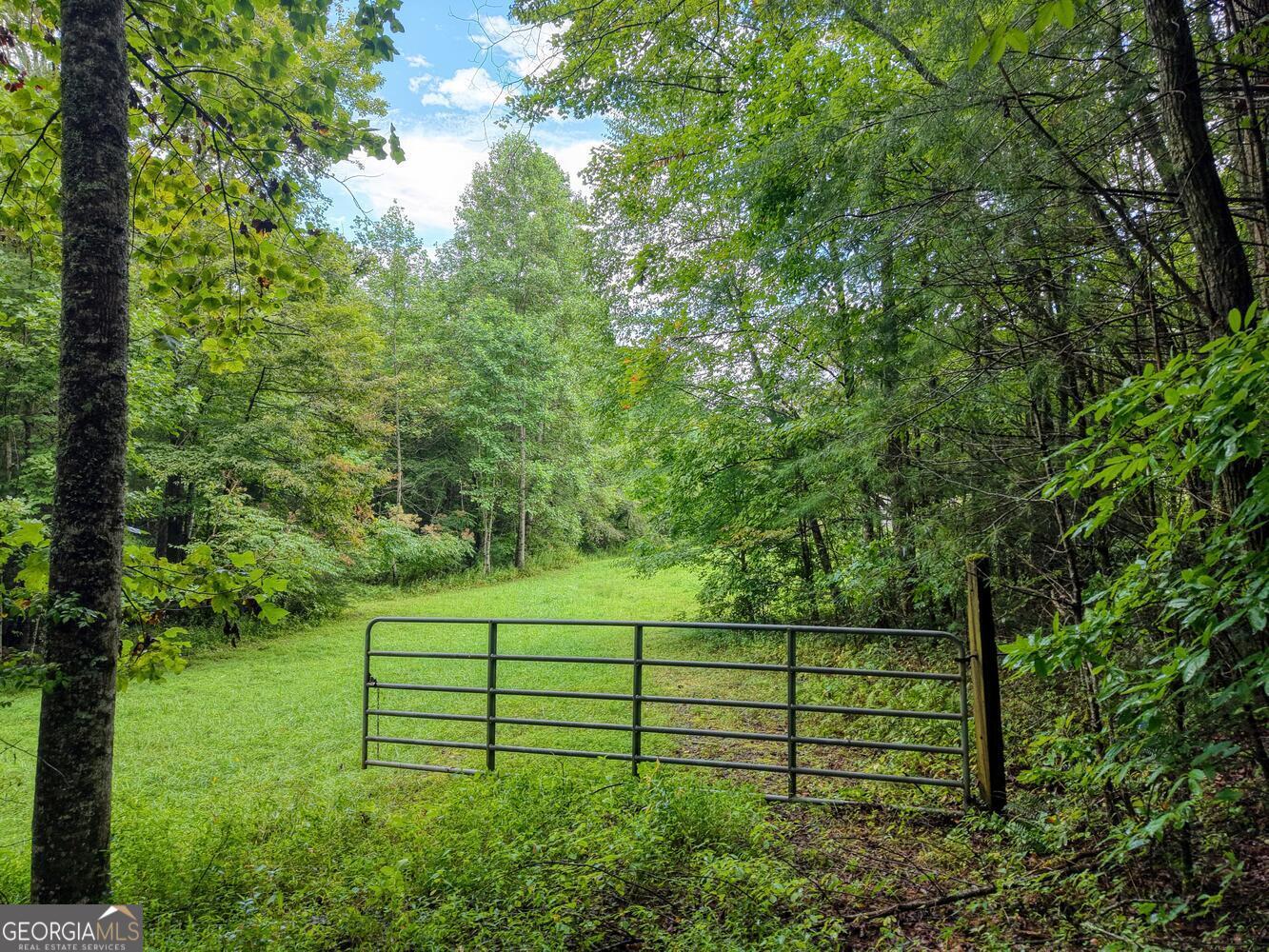 580 Emmaus Road Epworth, GA 30541 - Photo 19 of 22