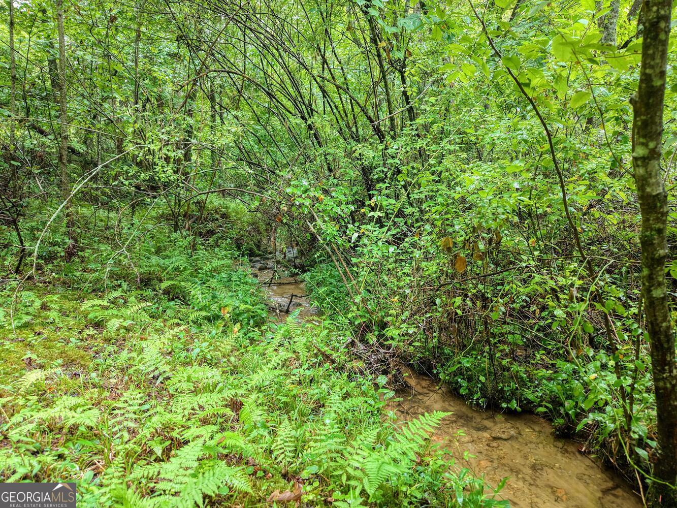 580 Emmaus Road Epworth, GA 30541 - Photo 20 of 22