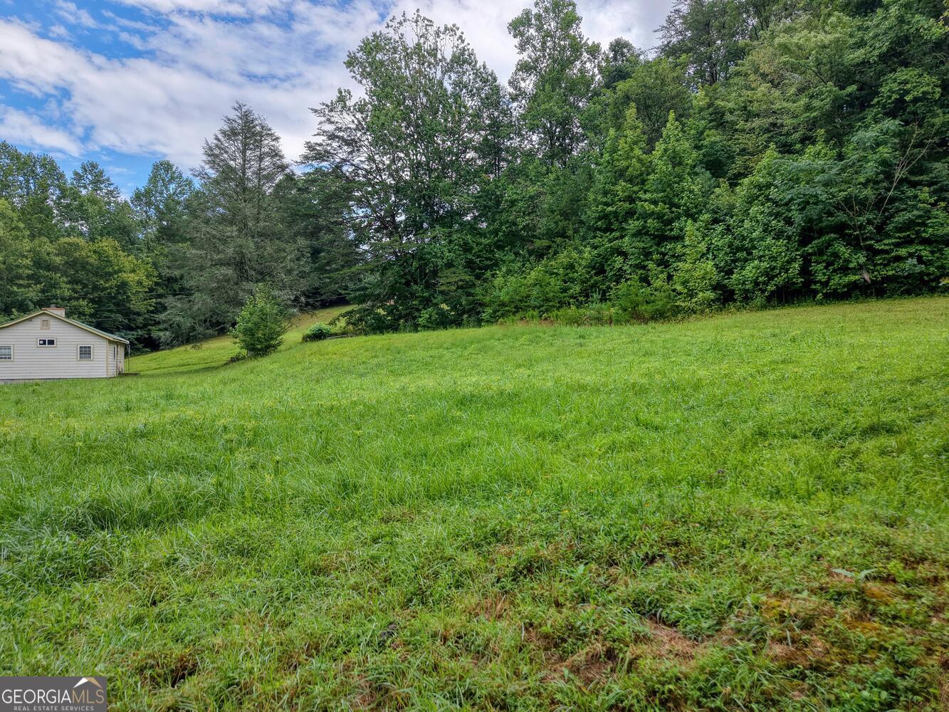 580 Emmaus Road Epworth, GA 30541 - Photo 7 of 22