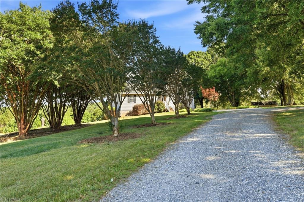 169 Ben Smith Road Kernersville, NC 27284 - Photo 6 of 49