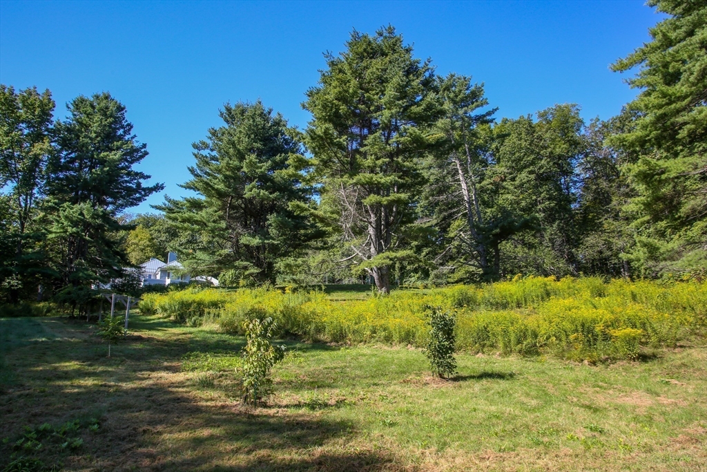 240 Beldingville Road Ashfield, MA 01330 - Photo 37 of 40 a view of a garden with an trees