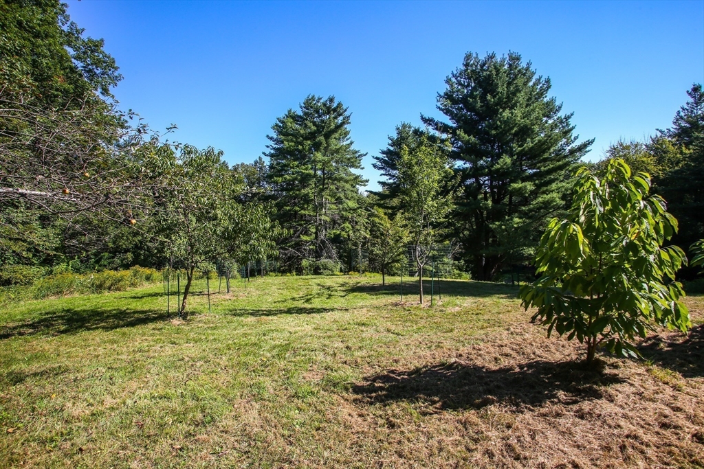 240 Beldingville Road Ashfield, MA 01330 - Photo 38 of 40 a view of a park with large trees