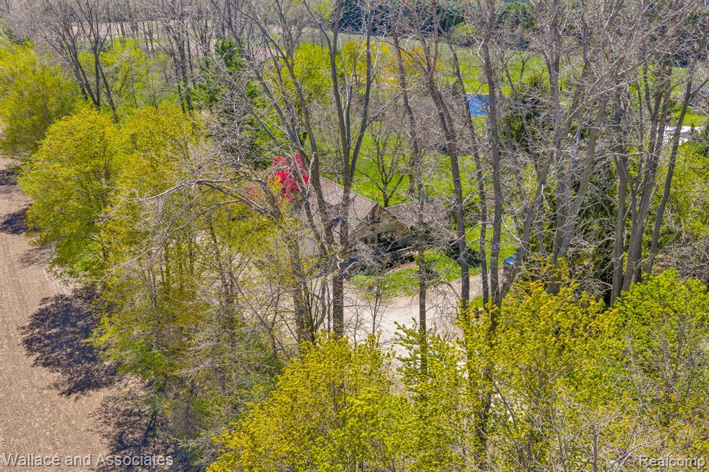 6616 Wellman Line Road Croswell, MI 48422 - Photo 46 of 47