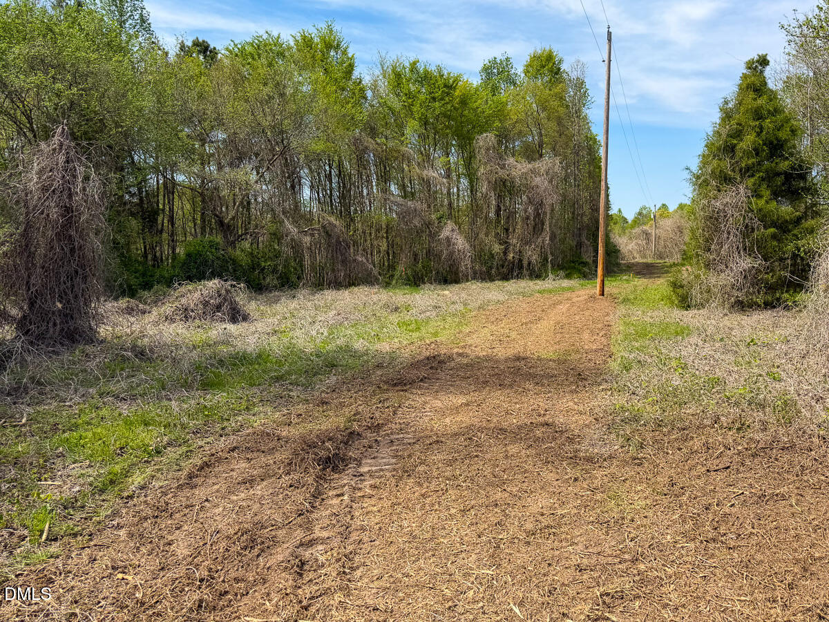 0 Pentecost Road Cedar Grove, NC 27231 - Photo 41 of 45