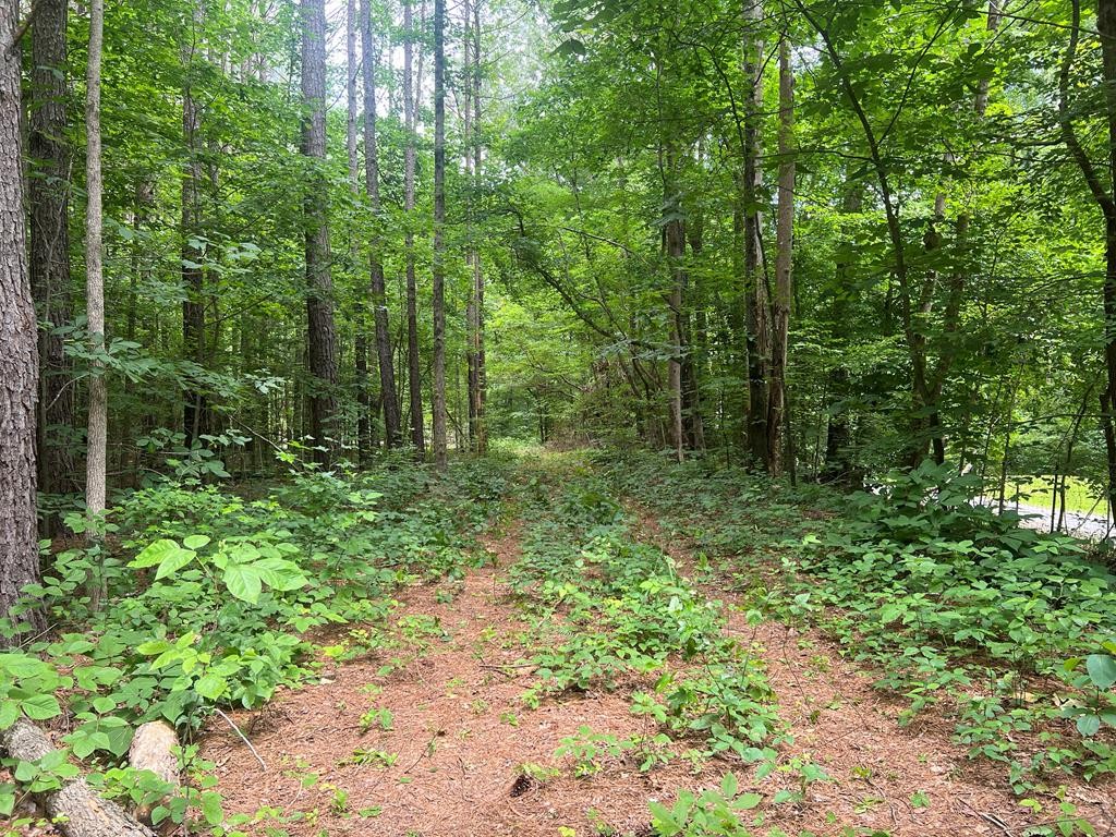 a view of outdoor space and green space