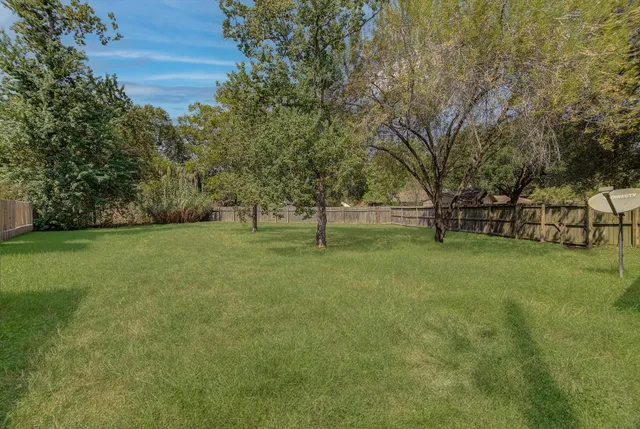 a view of park with trees