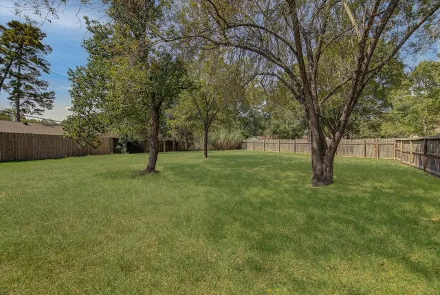 a view of a garden with trees