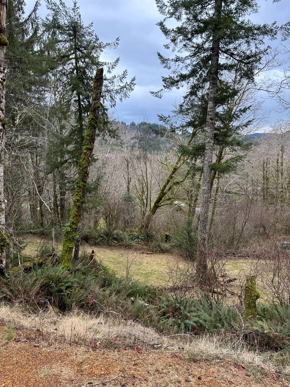 11-12 Big Trout Road Grand Ronde, OR 97347 - Photo 16 of 17 pic15_IMG_0790