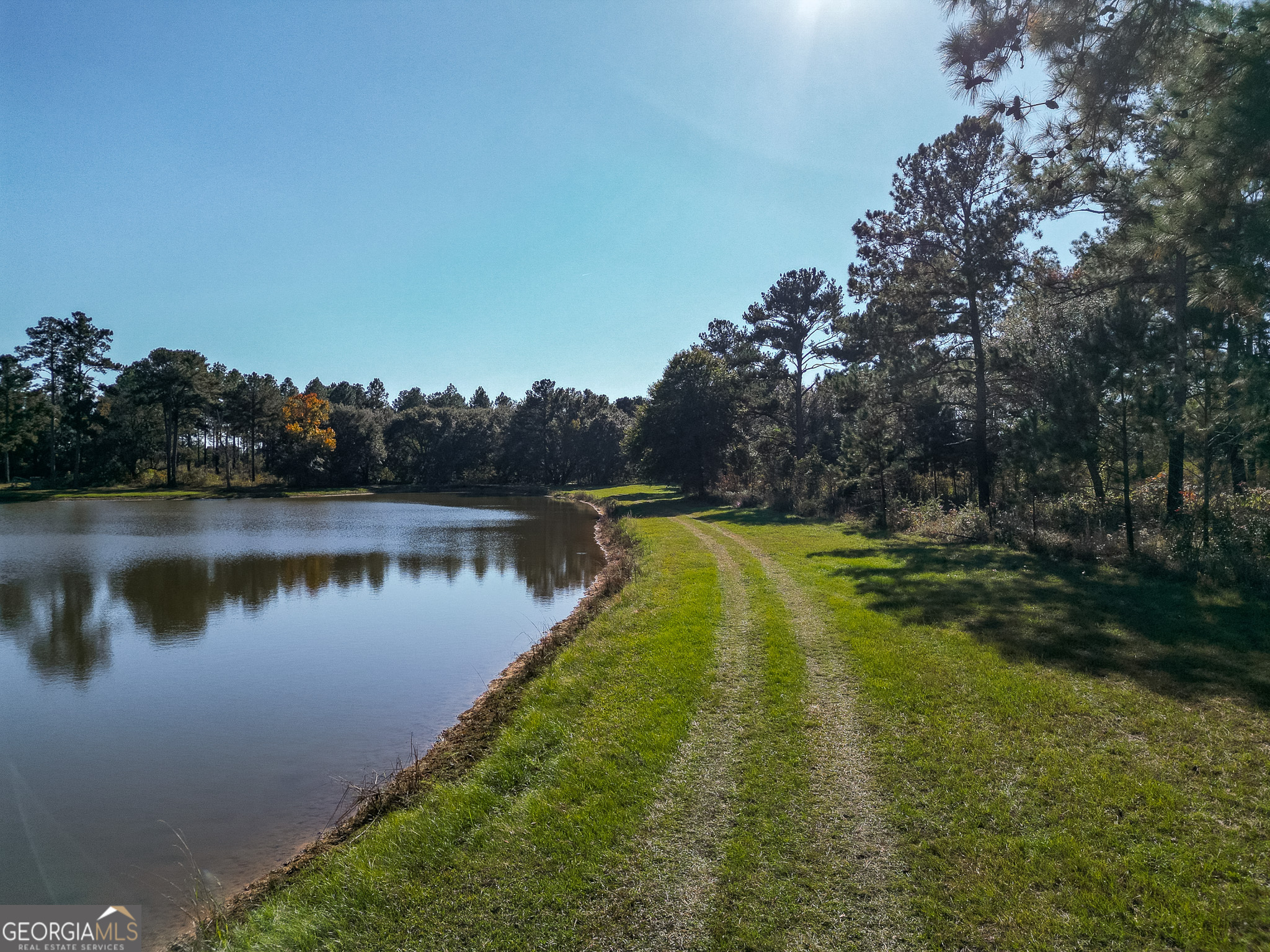 0 New York Road Leesburg, GA 31763 - Photo 9 of 19 a view of a lake in a yard