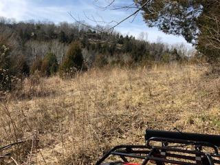 2163 Old Log Lick Road Winchester, KY 40391 - Photo 45 of 55 Photo 46