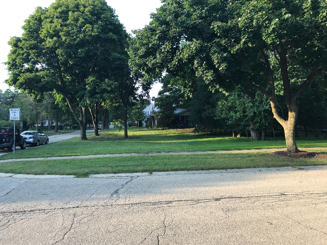 82 Gray Street St. Charles, IL 60174 - Photo 1 of 6