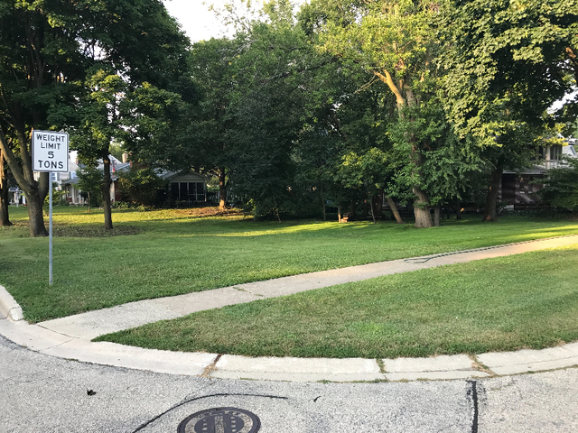 82 Gray Street St. Charles, IL 60174 - Photo 2 of 6 a view of a park with large trees