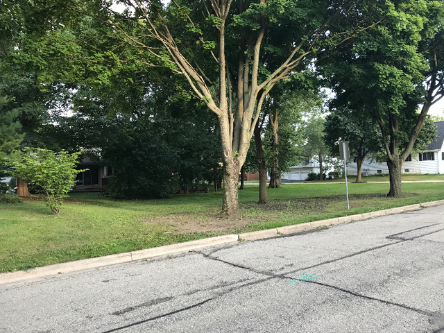 82 Gray Street St. Charles, IL 60174 - Photo 4 of 6 a view of a park with tree s