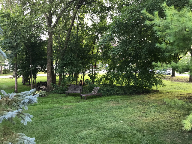 82 Gray Street St. Charles, IL 60174 - Photo 5 of 6 a view of a backyard with large trees