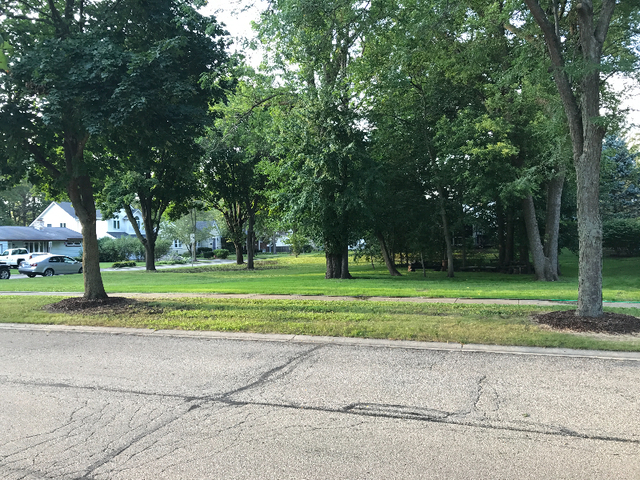 82 Gray Street St. Charles, IL 60174 - Photo 6 of 6 a garden view with a fountain