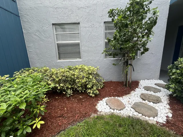 a view of a backyard with plants