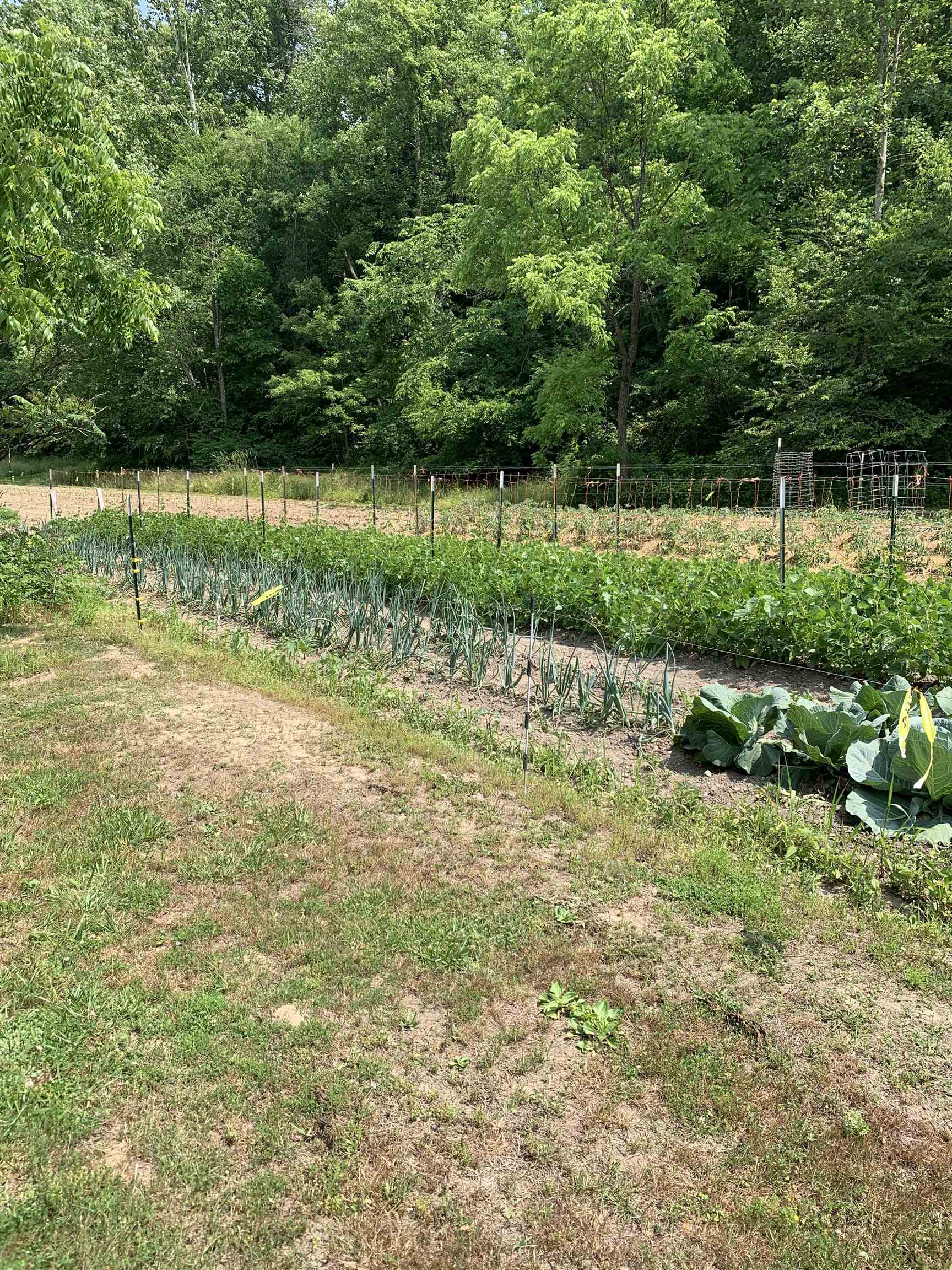 0 Ome Brown Road Argillite, KY 41121 - Photo 11 of 12 Gallery Image 11