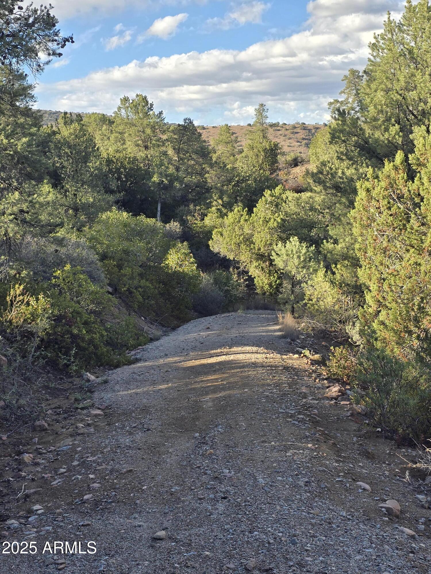 0 Winter Ranch Road, Unit 48 Globe, AZ 85501 - Photo 3 of 13 a view of outdoor space and trees