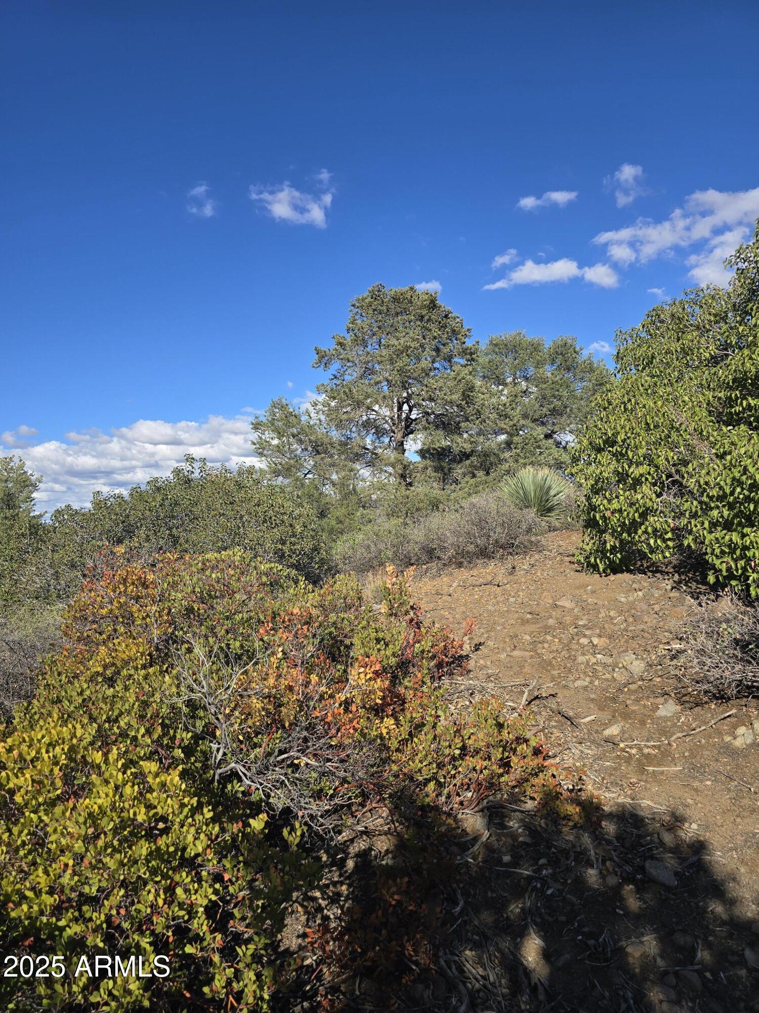 0 Winter Ranch Road, Unit 48 Globe, AZ 85501 - Photo 4 of 13 a view of a field with an ocean