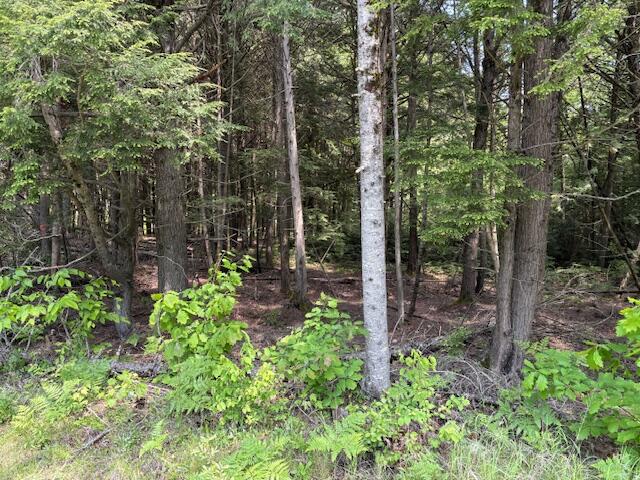 0 Kirkland Road Old Town, ME 04468 - Photo 2 of 11 IMG_0365