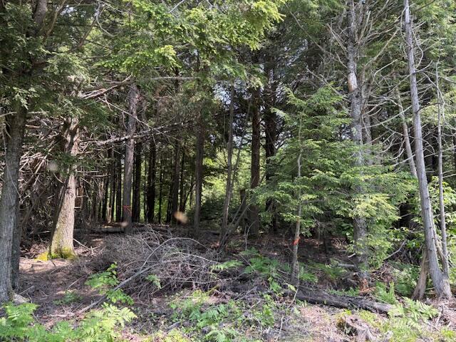 0 Kirkland Road Old Town, ME 04468 - Photo 3 of 11 IMG_0366