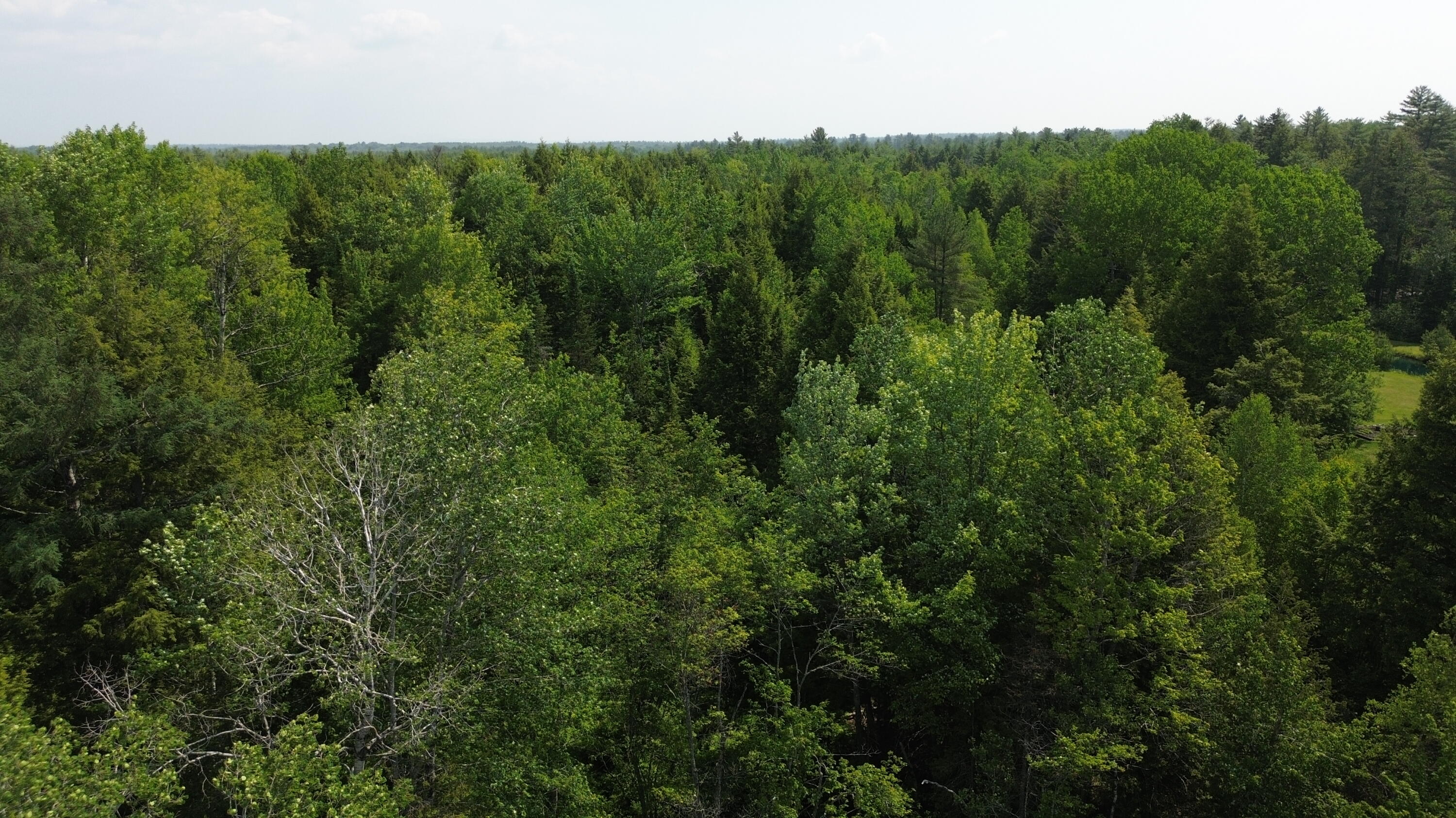 0 Kirkland Road Old Town, ME 04468 - Photo 7 of 11 DJI_0189
