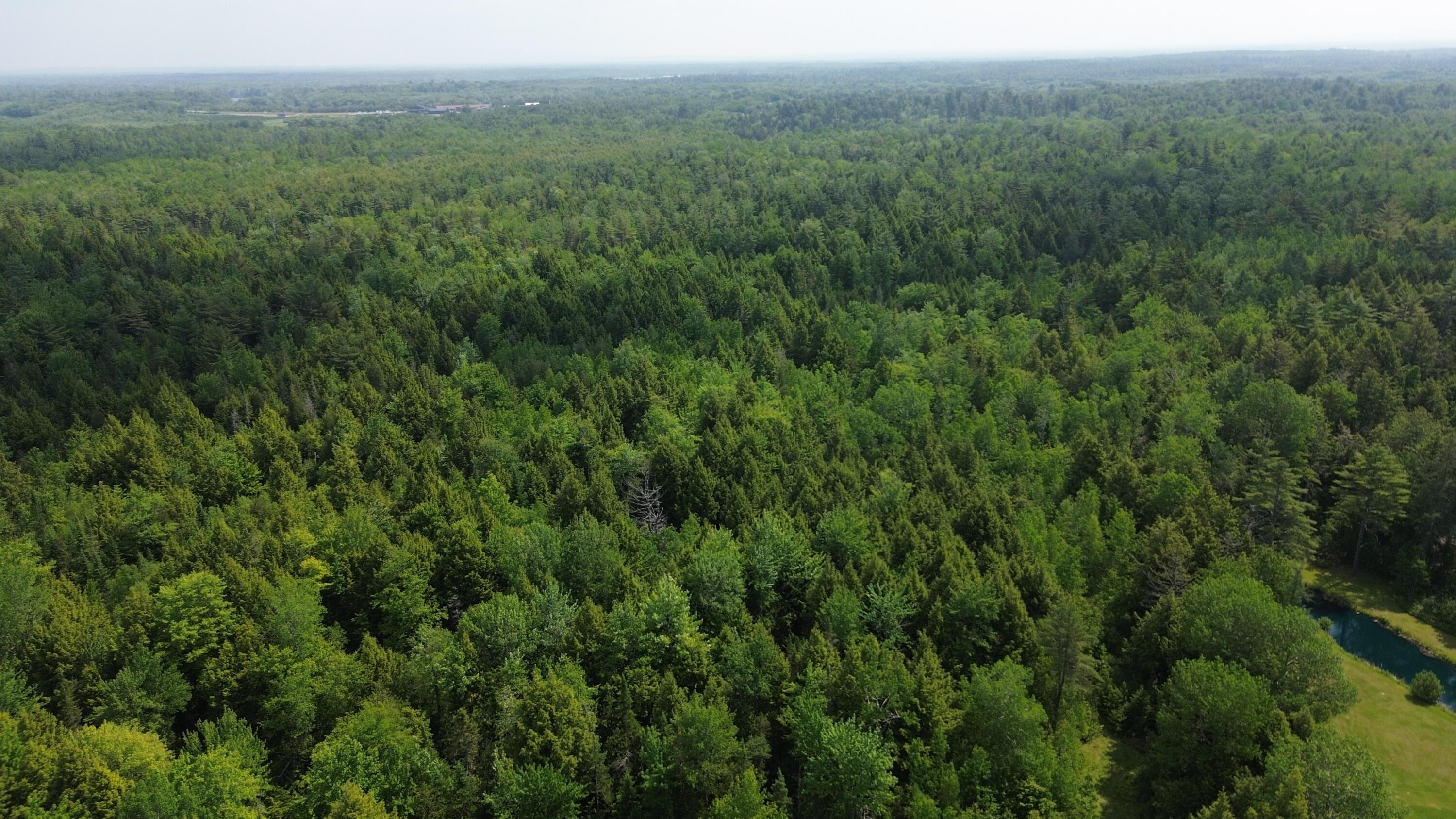 0 Kirkland Road Old Town, ME 04468 - Photo 10 of 11 DJI_0192