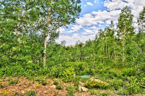 $446,000 | 605 Lamb Mountain Road, Fairplay, CO 80440