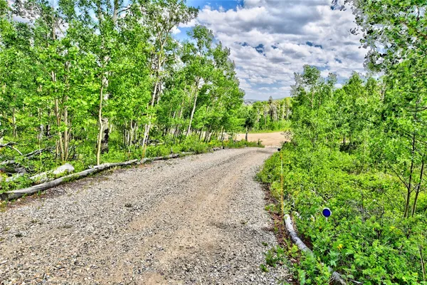 $446,000 | 605 Lamb Mountain Road, Fairplay, CO 80440