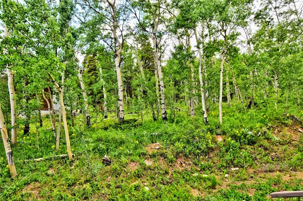 $446,000 | 605 Lamb Mountain Road, Fairplay, CO 80440