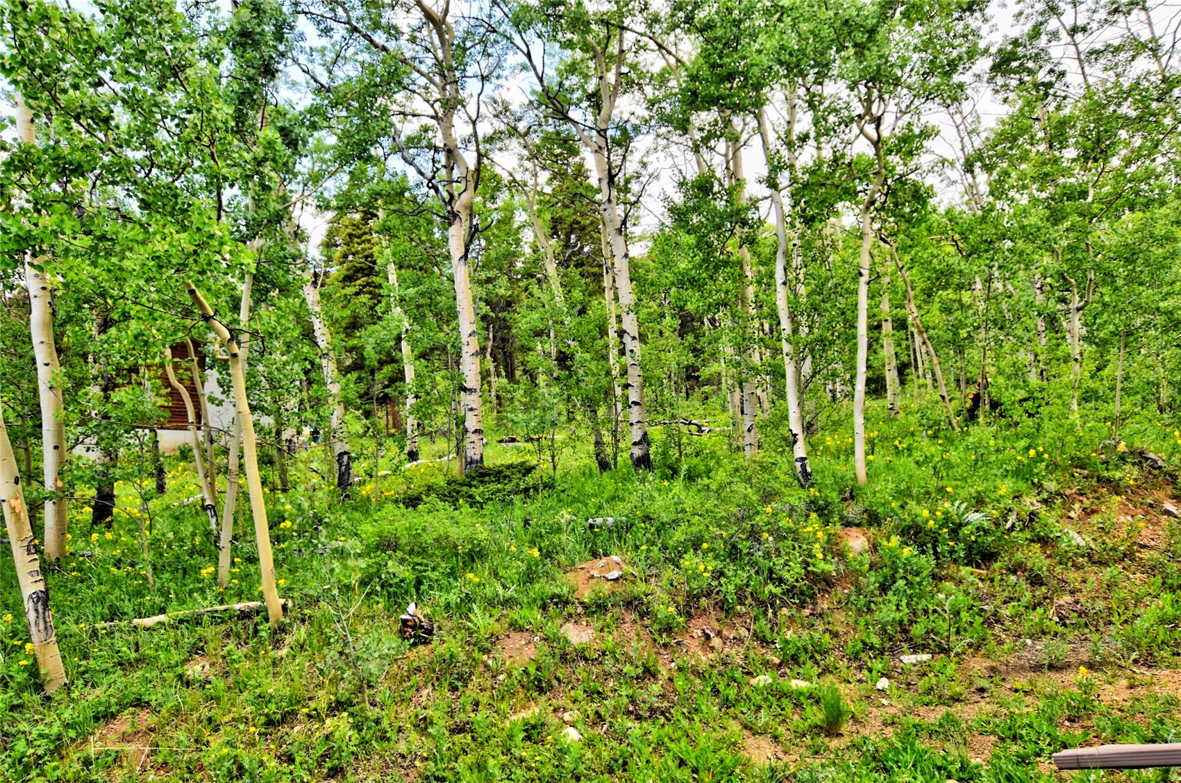 605 Lamb Mountain Road Fairplay, CO 80440 - Photo 35 of 35