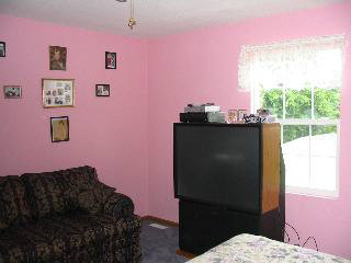 4248 Packard Road Temperance, MI 48182 - Photo 16 of 18 593701-15.JPG