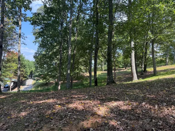 $150,000 | 0 Madison Drive, Murphy, NC 28906