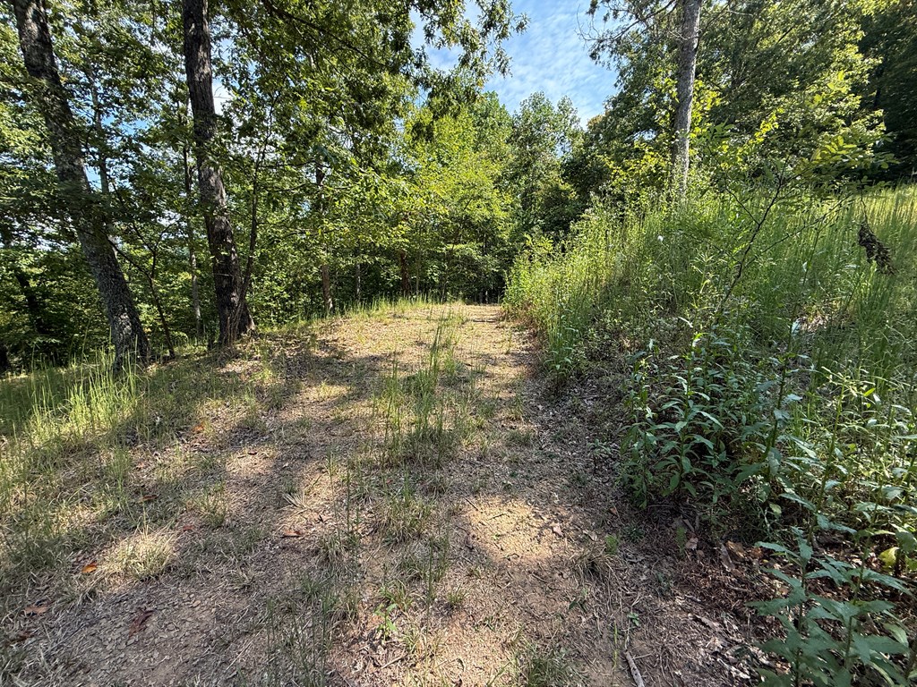 0 Madison Drive Murphy, NC 28906 - Photo 12 of 17 a view of lake with green space