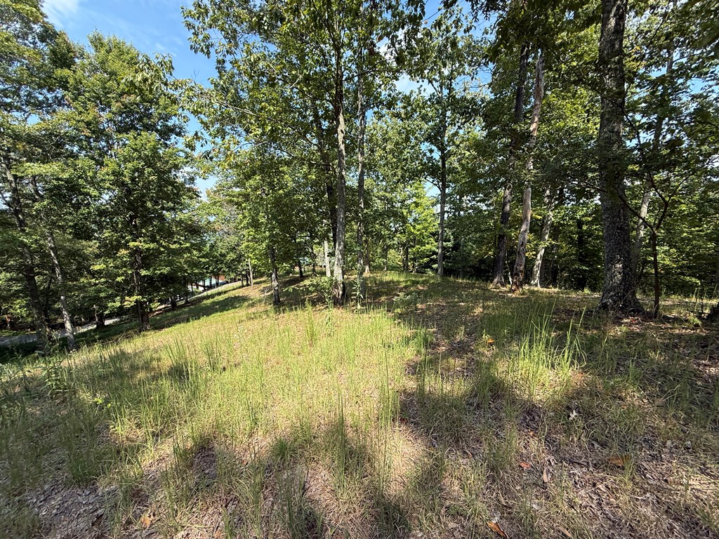 0 Madison Drive Murphy, NC 28906 - Photo 13 of 17 a view of swimming pool from a yard