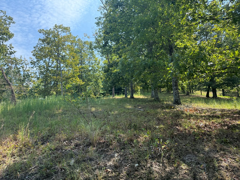 0 Madison Drive Murphy, NC 28906 - Photo 2 of 17 a view of outdoor space with trees all around