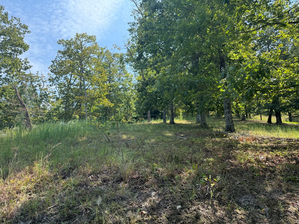 0 Madison Drive Murphy, NC 28906 - Photo 3 of 17 a view of outdoor space with trees all around