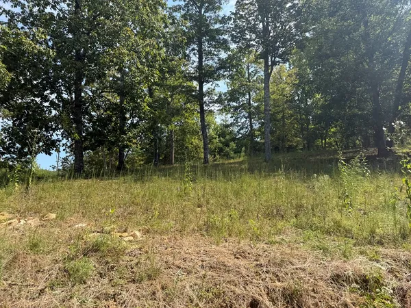 a view of outdoor space with trees