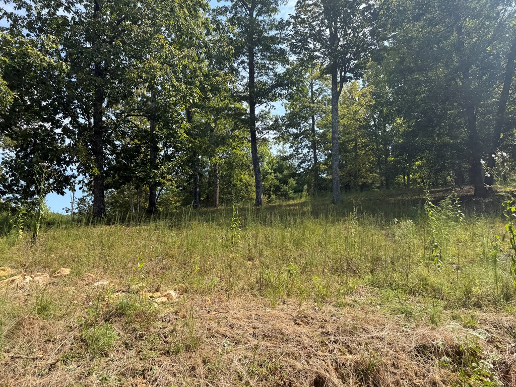 0 Madison Drive Murphy, NC 28906 - Photo 4 of 17