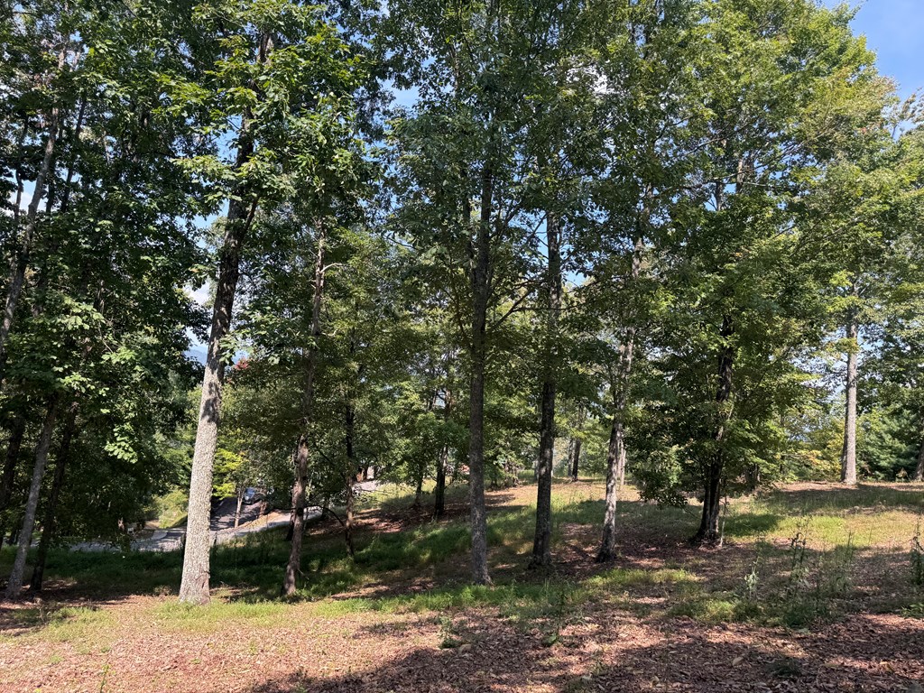 0 Madison Drive Murphy, NC 28906 - Photo 5 of 17 a view of outdoor space with trees
