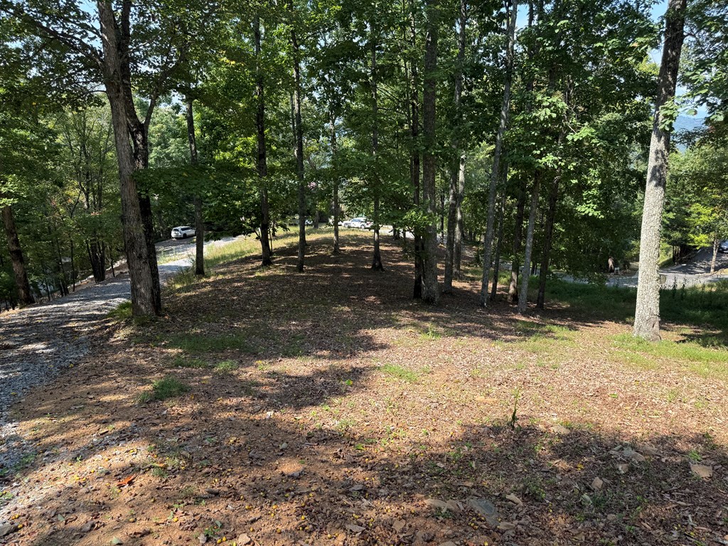 0 Madison Drive Murphy, NC 28906 - Photo 6 of 17 a view of a tree in the middle of a yard